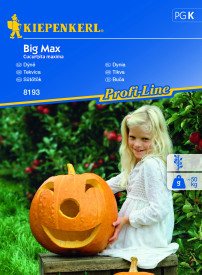 Bundeva za Halloween Big Max