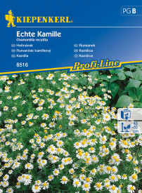 Kamilica