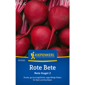 Cikla Rote Kugel 2 (sjeme)